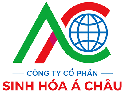 XỐP NỔ Á CHÂU – HÀNH TRÌNH CỦA SỰ TẬN TÂM PHÍA SAU MỖI KIỆN HÀNG