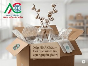 Cách Bọc Xốp Nổ Cho Hàng Thủy Tinh An Toàn 100% | Xốp Nổ Á Châu